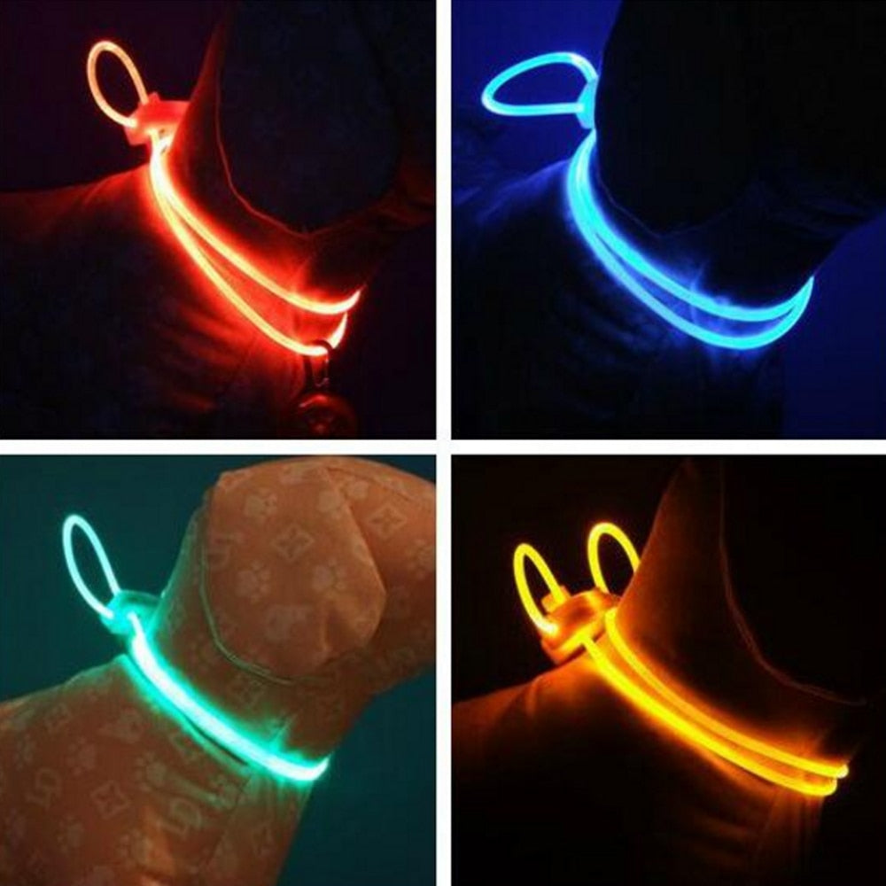 Multi color LED Pet Collar Vibrant and Beautiful