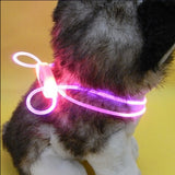 Multi color LED Pet Collar Vibrant and Beautiful