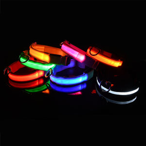 Glowing LED Dog Collar
